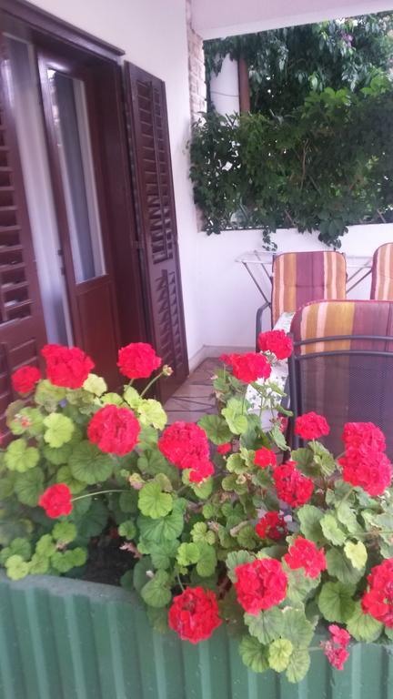 Apartments Soric Rovinj Eksteriør billede